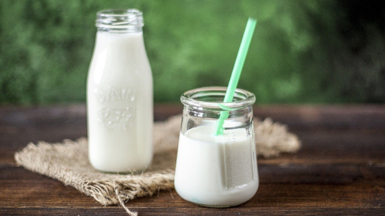 Latte e yogurt preziosi per la salute: consigliato il consumo di tre porzioni al giorno